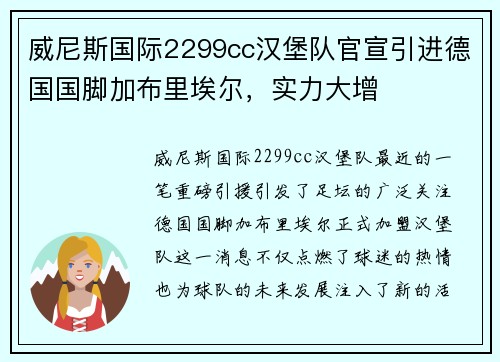 威尼斯国际2299cc汉堡队官宣引进德国国脚加布里埃尔，实力大增